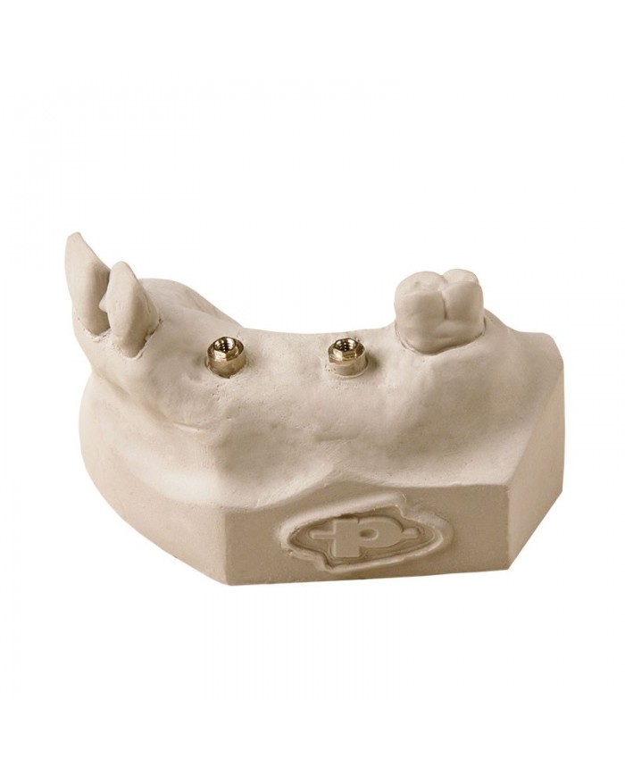 RESIN-GIPS PLUS RESIN-GIPS PLUS