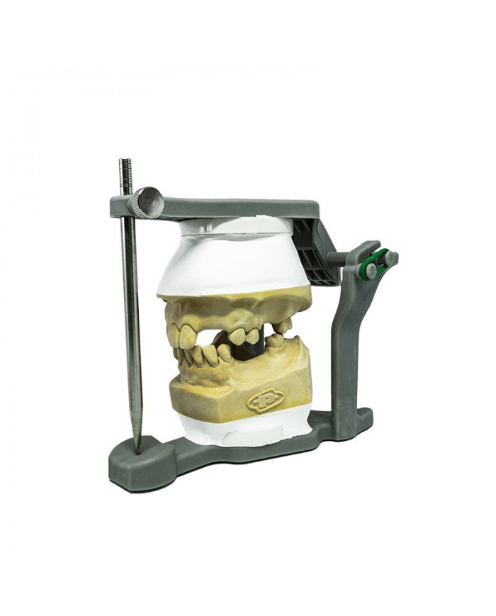 ARTICOLATORE ARTICOLATORE