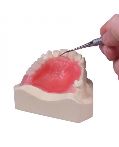 PALATINAL WAX PALATINAL WAX