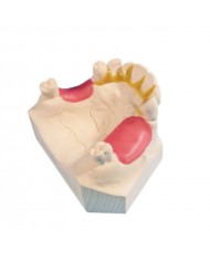 TECHNOWAX®-ALIVIO TECHNOWAX®-ALIVIO