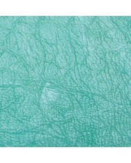 TECHNOWAX®-RUGATA TECHNOWAX®-RUGATA