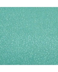 TECHNOWAX®-RUGATA TECHNOWAX®-RUGATA