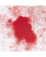 FIBRILE FIBRILE