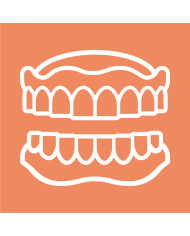 INSPIRA Denture Tooth Library