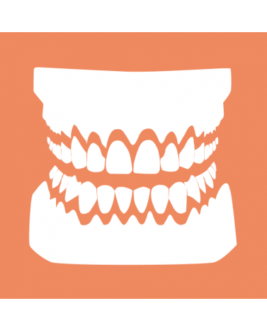 Módulo de dentaduras Módulo de dentaduras